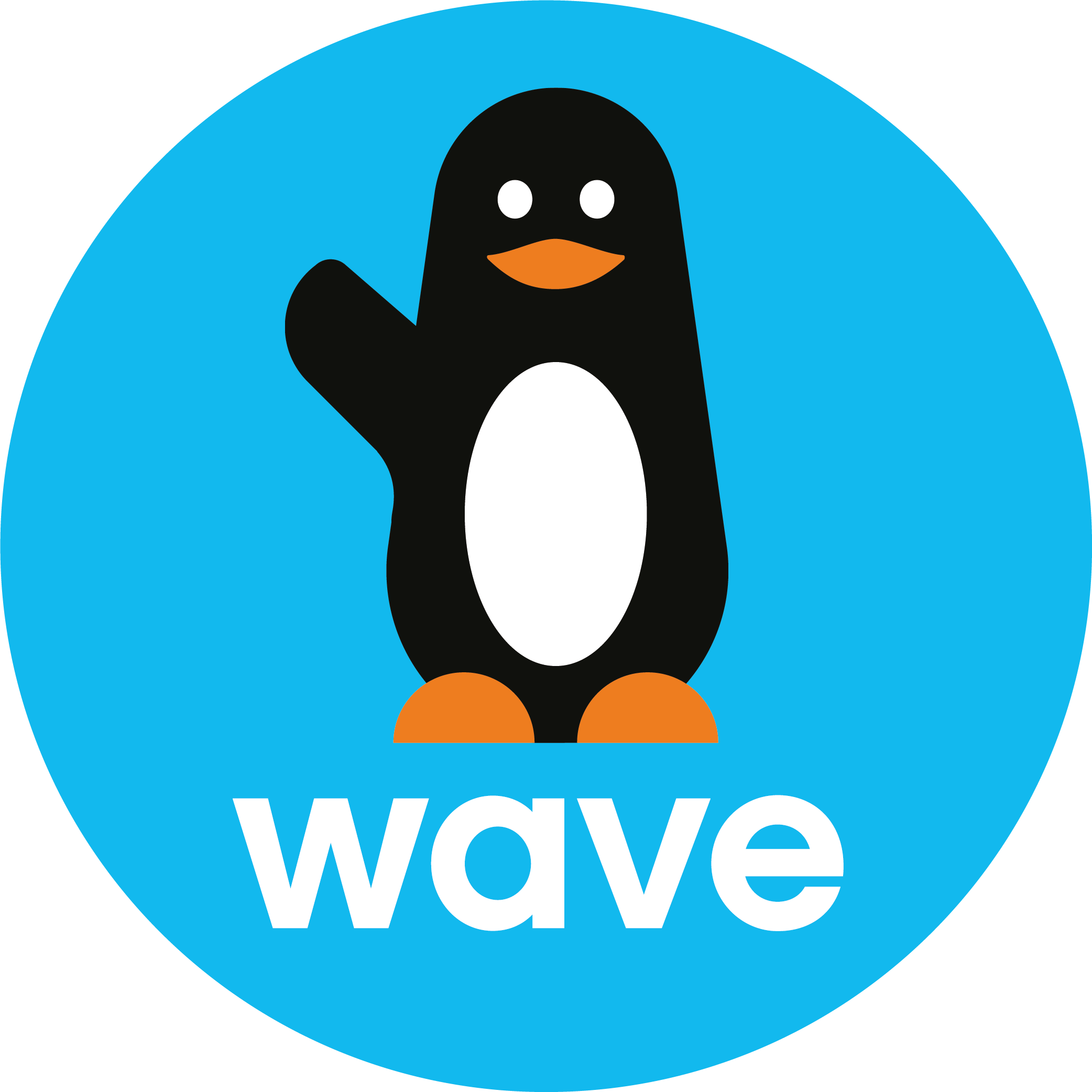 Paiement avec Wave