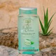 un flacon de shampoing micellaire le petit olivier étiqueté avec des extraits d'aloe vera et de thé vert. il est posé sur une surface en pierre avec des plantes d'aloès en arrière plan. le flacon est vert translucide avec des gouttes d'eau dessus.