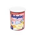 babylac fruits pot 240g